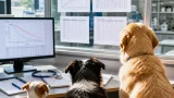 La taille des chiens expliquée : pourquoi les petits vivent plus longtemps que les grands