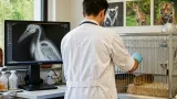 Seuls six internats vétérinaires en zoo en France : le Cerza forme un jeune diplômé