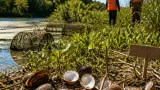 Les espèces invasives : comment elles contribuent à la disparition d’espèces et déstabilisent les écosystèmes