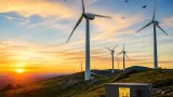 Arrêter les éoliennes la nuit pourrait réduire de plus de 80 % la mortalité des chauves‑souris