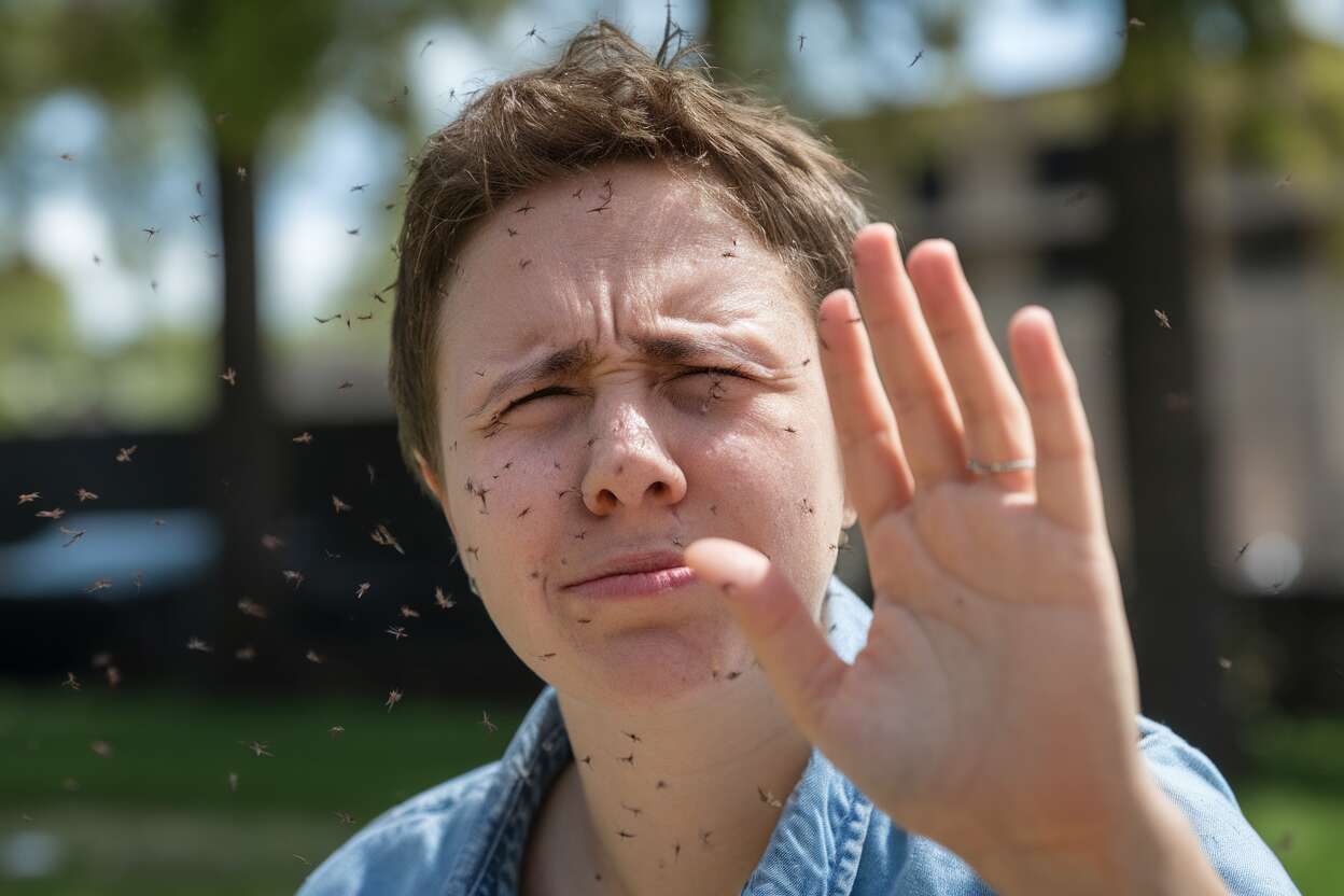 Stop aux moucherons qui volent près de votre visage en utilisant ce conseil pratique et immédiat