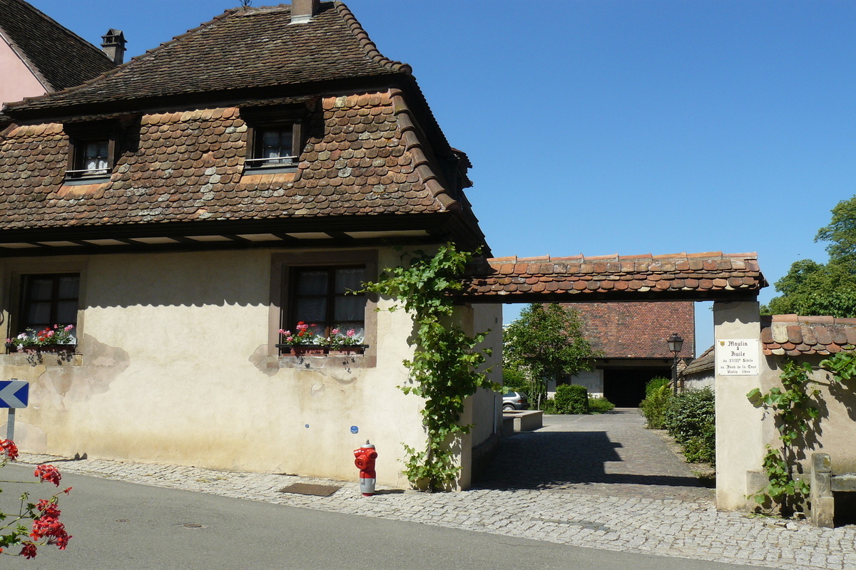 Le Bas-Rhin dévoile un plus beau village de France viticole, typiquement alsacien, à visiter
