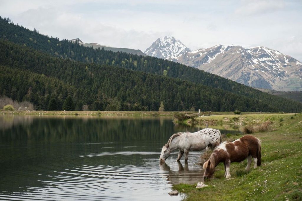 Cette randonnée dans les Pyrénées est surnommée le « petit Canada » par les locaux (et on comprend pourquoi)