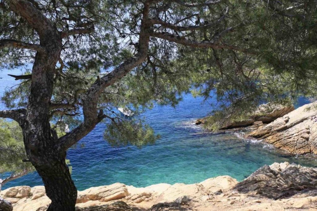 Le trésor de la Côte Bleue : cette calanque rivalise avec En-Vau, mais sans la foule de Cassis
