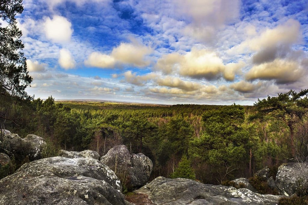 Cette forêt à 1h de Paris prend des couleurs spectaculaires en automne, une balade féerique à faire absolument 