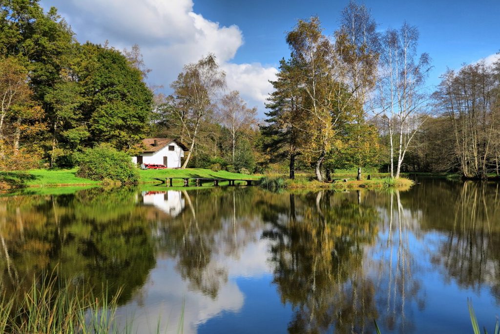la petite finlande de france cette région des vosges et ses mille étangs offrent un dépaysement total