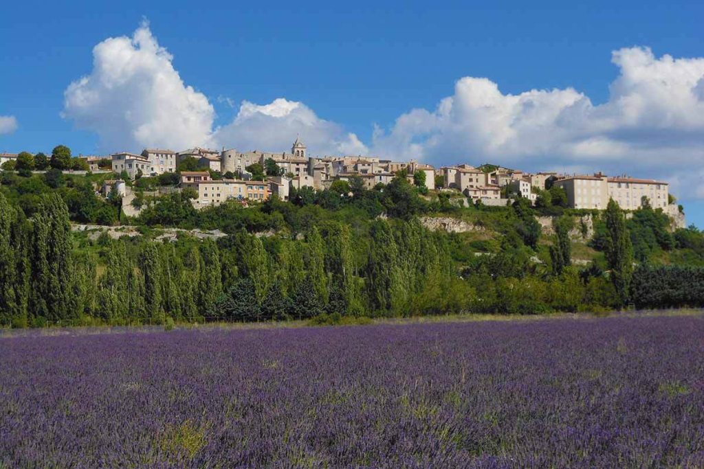 À 2h de Marseille, ce plateau de lavande est bien plus tranquille que les champs de Valensole (Plateau de Sault)