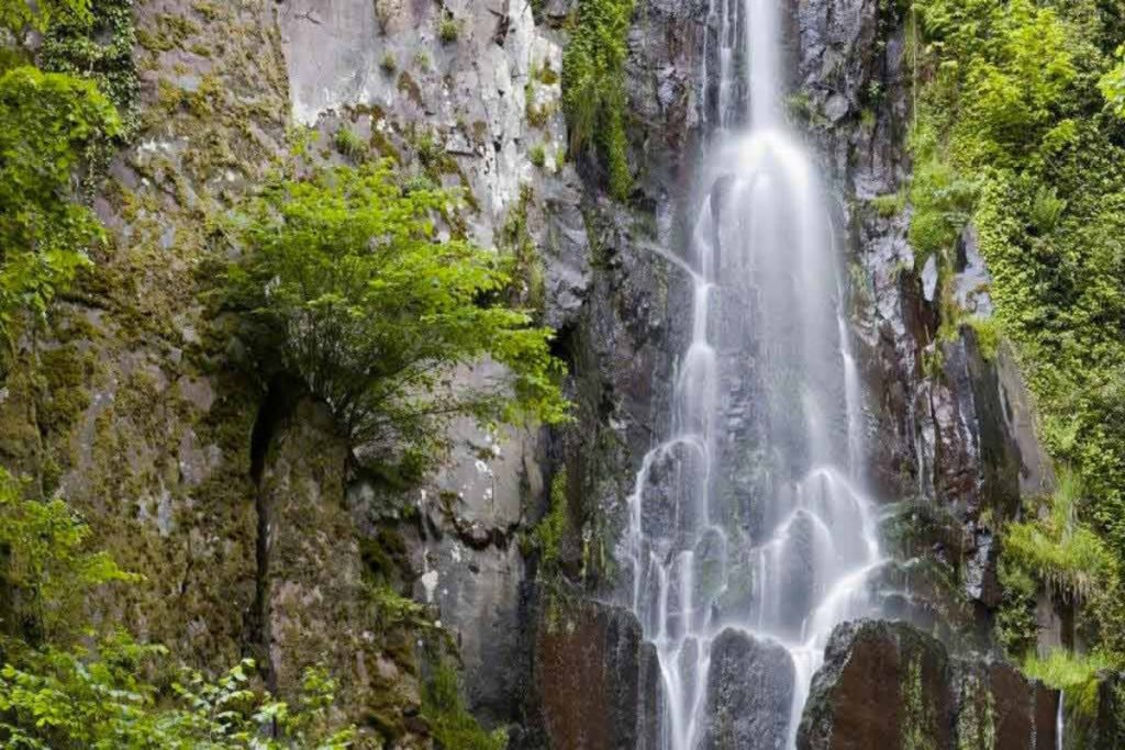 À 30 minutes de Strasbourg, cette cascade est un havre de fraîcheur en plein été (Cascade du Nideck)