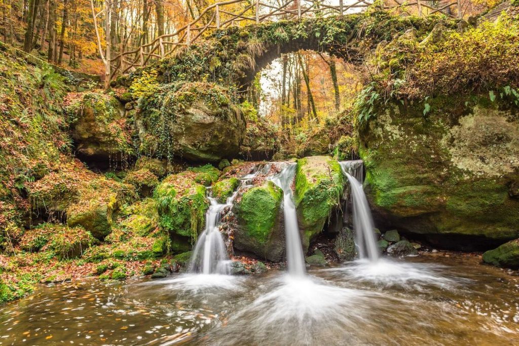 Oubliez la Forêt-Noire : la « petite Suisse » du Luxembourg est un paradis de verdure aux portes de la France 