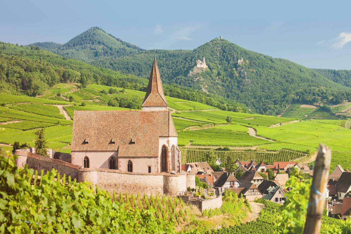 L’Alsace viticole : ce plus beau village de France est authentique et plein de charme