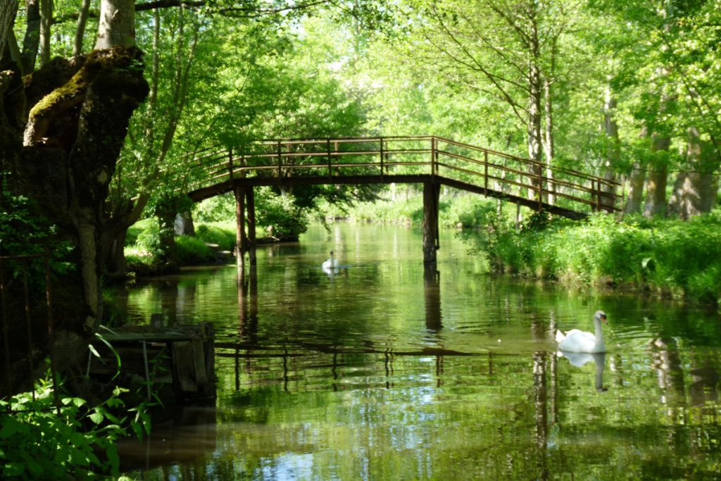Oubliez Venise : le Marais Poitevin est un labyrinthe de canaux verdoyants pour une balade en barque hors du temps 