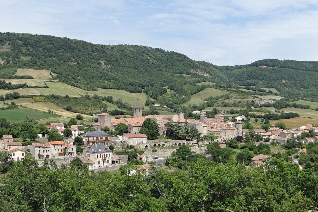 ce village des cévennes cache un élevage de bisons d'europe, une vision de préhistoire en pleine nature