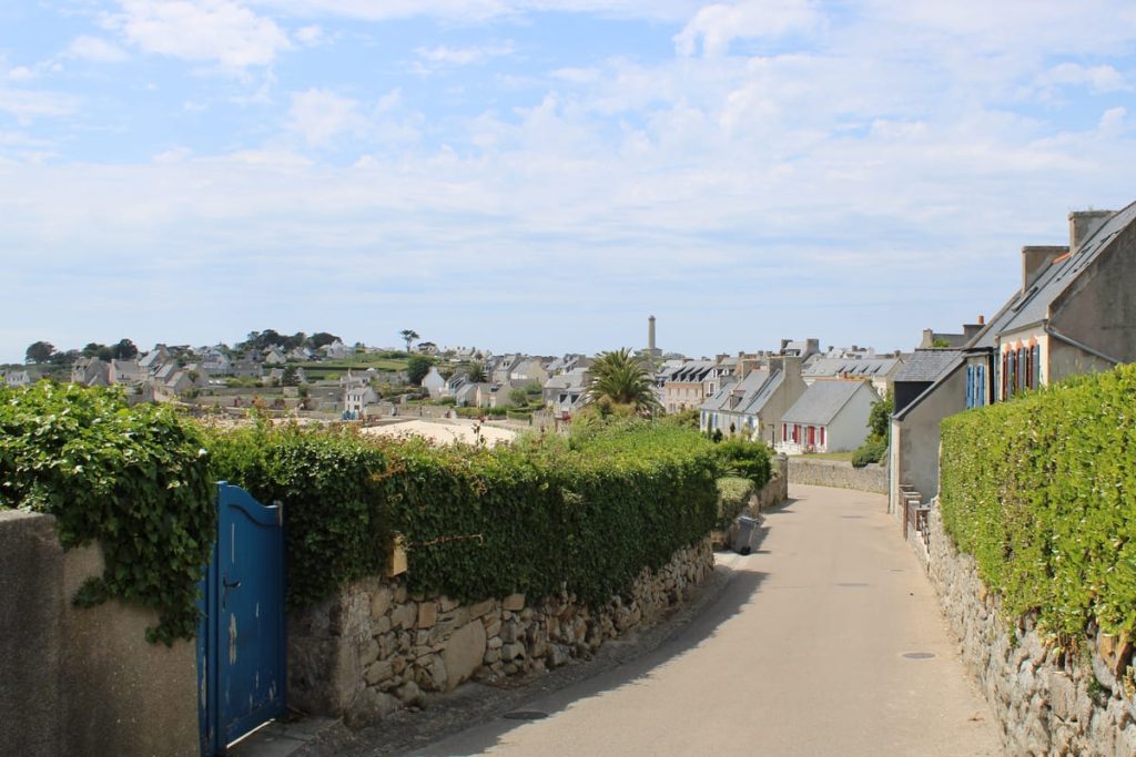 le secret de cette île bretonne un jardin exotique luxuriant grâce à un microclimat unique