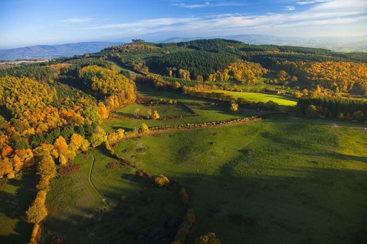 oubliez le canada pour les couleurs d'automne cette région de france est un spectacle de feuillages dorés, la foule en moins