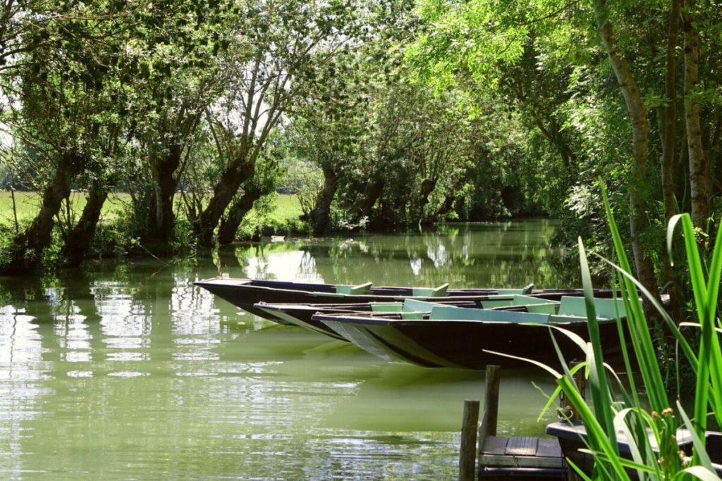 oubliez venise le marais poitevin est un labyrinthe de canaux verdoyants pour une balade en barque hors du temps