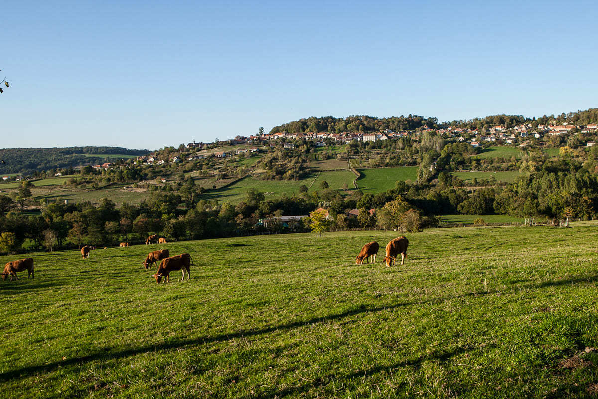 Ce village de Bourgogne est le site de la bataille décisive entre César et Vercingétorix