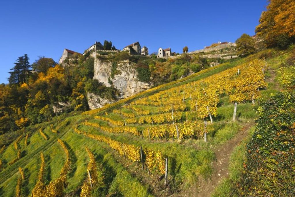 Oubliez la route des vins d&rsquo;Alsace : ce plus beau village de France du Jura est un secret des amateurs de vin jaune