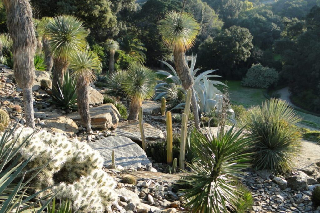 Ce jardin remarquable du Var, ignoré des guides, est un paradis exotique