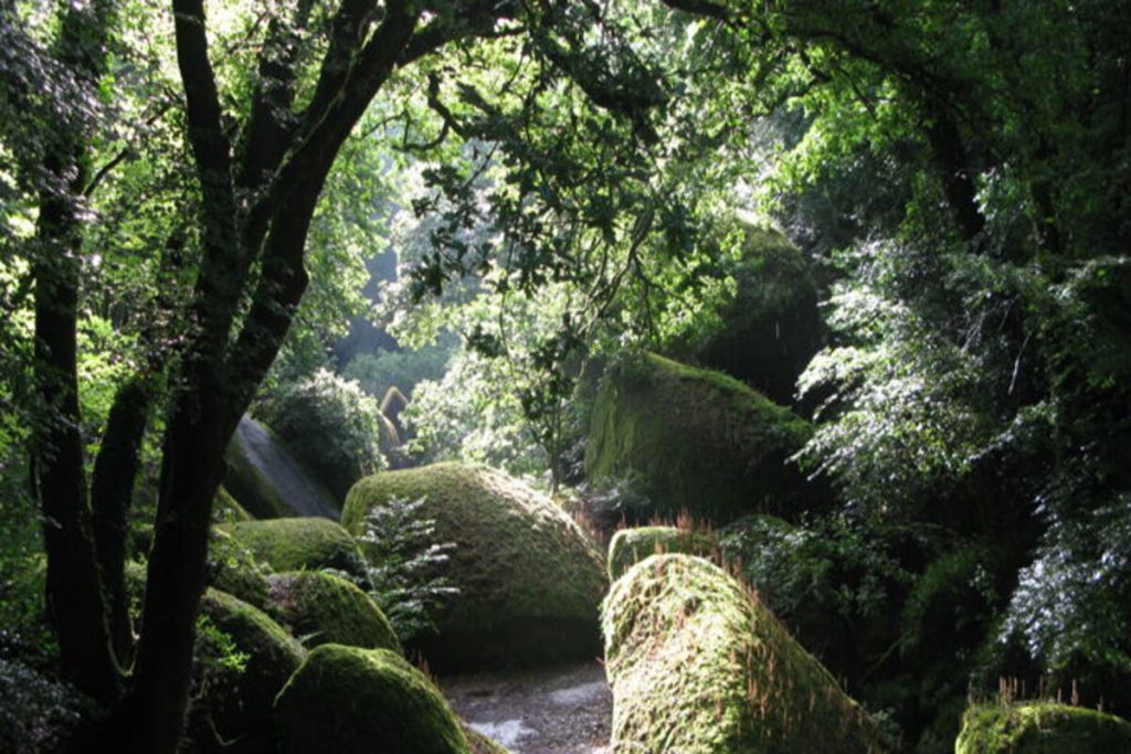 Personne n’en parle, mais ce village de Bretagne abrite une forêt où les arbres sont couverts d’une mousse fluorescente