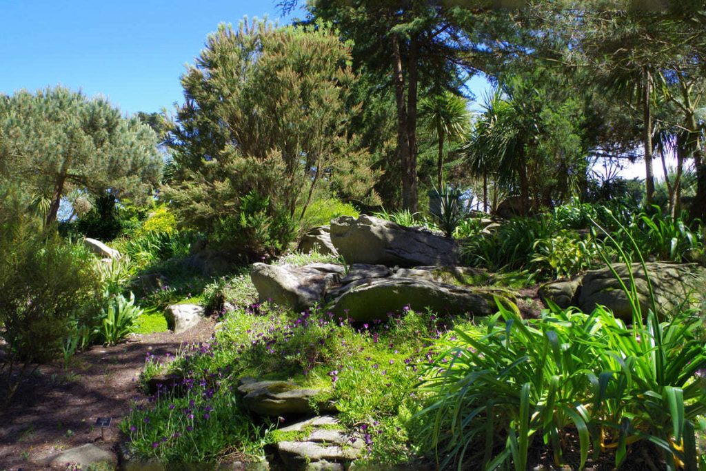 Le secret de cette île bretonne : un jardin exotique luxuriant grâce à un microclimat unique