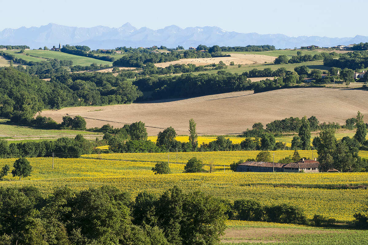 Oubliez la Toscane : la campagne du Gers en septembre est un paysage de collines et de cyprès tout aussi magique