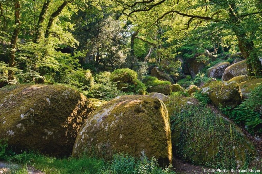 Oubliez la forêt de Brocéliande : cette forêt du Limousin est un concentré de légendes et de nature sauvage