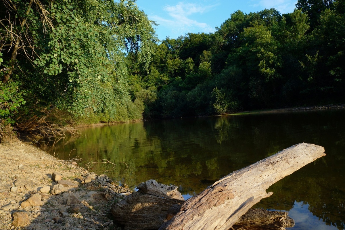 Oubliez les forêts des Landes : la forêt de Tronçais est l’une des plus belles chênaies d’Europe