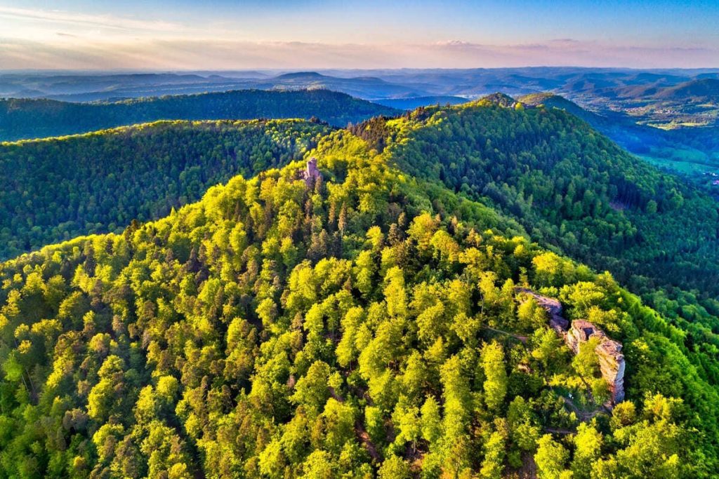 Non, ce n’est pas un conte de fées, mais une forêt du Bas-Rhin où l’on trouve des châteaux troglodytes et des légendes de sorcières 