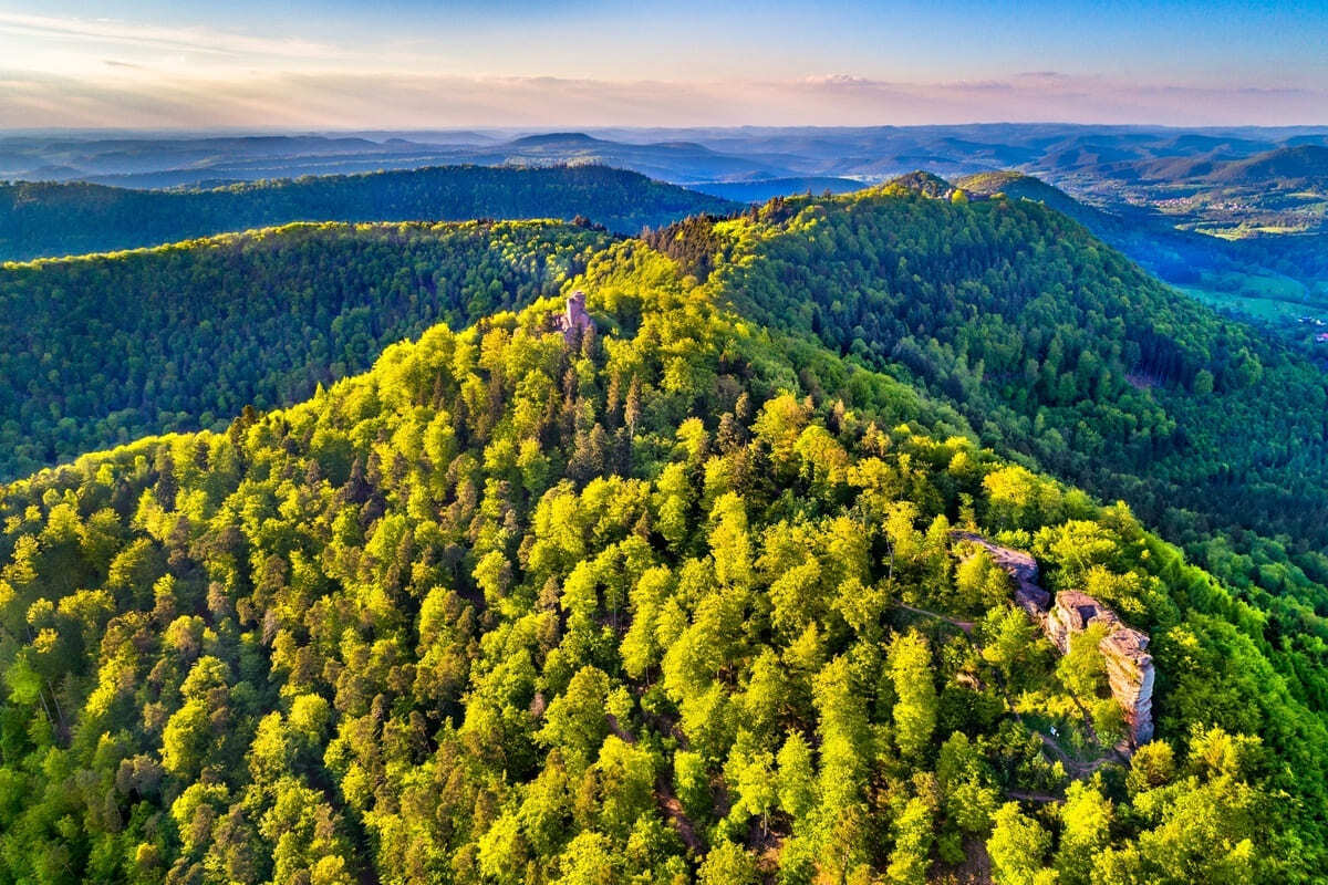 Non, ce n’est pas un conte de fées, mais une forêt du Bas-Rhin où l’on trouve des châteaux troglodytes et des légendes de sorcières