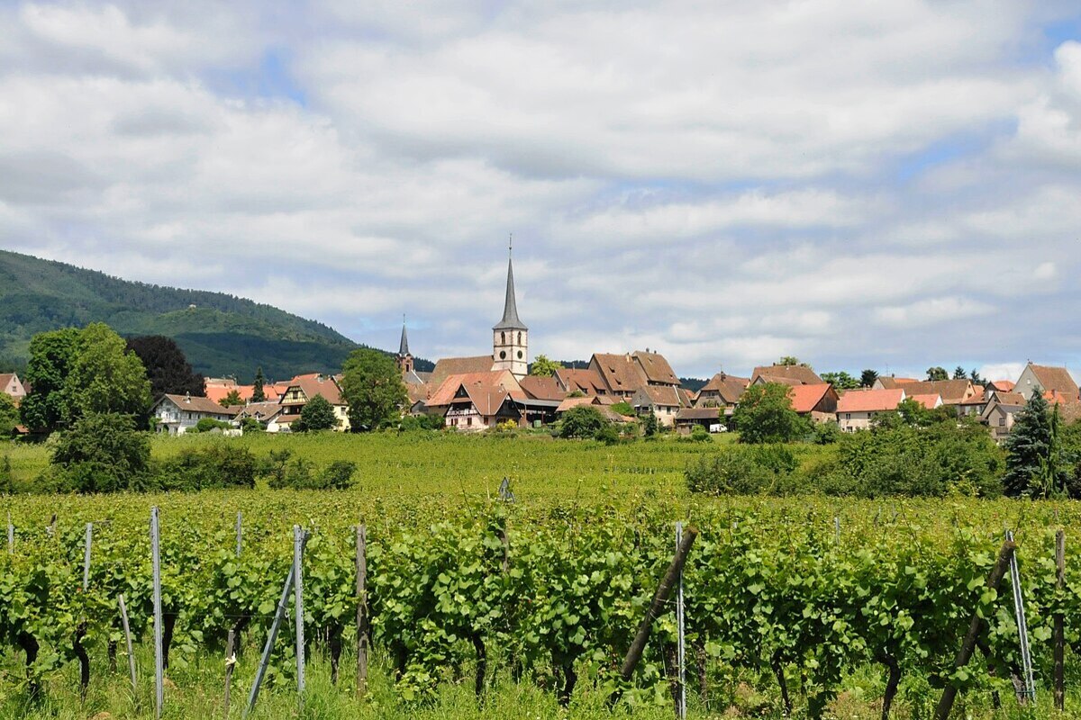 Ce village fortifié alsacien, sur la route des vins, est une alternative sublime et tranquille à Riquewihr en automne