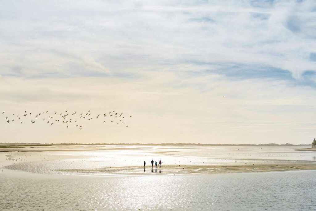 Oubliez la Camargue : la Baie de Somme est un sanctuaire pour des milliers d’oiseaux migrateurs en automne