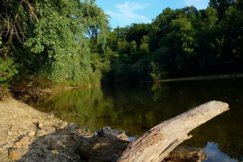 Oubliez les forêts des Landes : la forêt de Tronçais est l’une des plus belles chênaies d’Europe