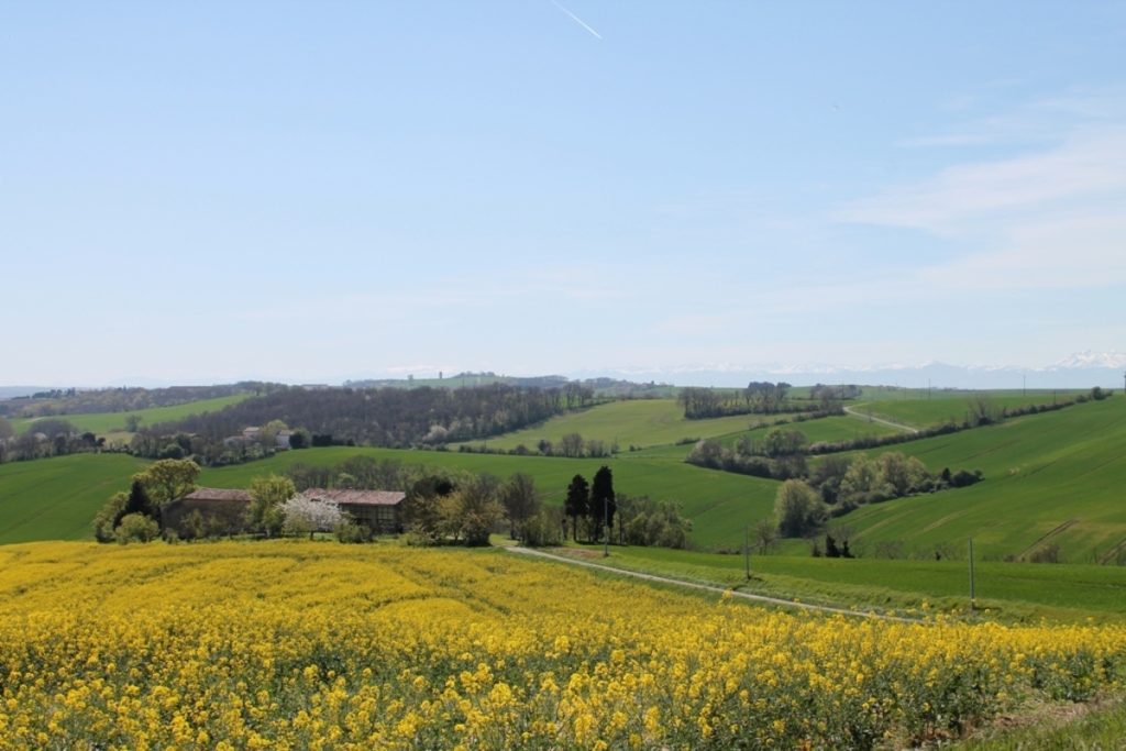 Oubliez la Provence, le Lauragais est la véritable « Toscane française » à découvrir pour ses collines dorées cet automne