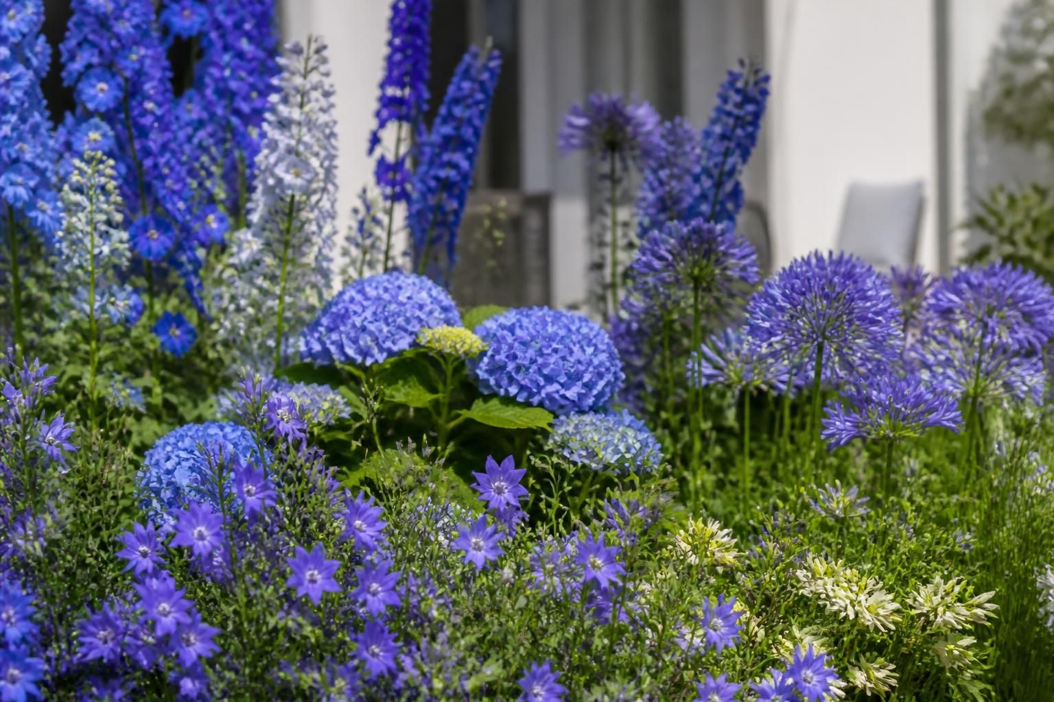 30 noms de fleurs bleues pour un jardin coloré